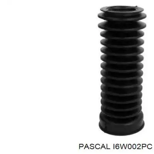 Comprar I6W002PC Pascal Plumero de dirección
