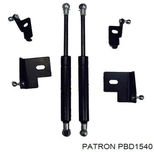 PBD1540 Patron disco de freno trasero