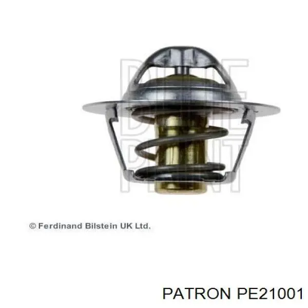 Termostato, refrigerante Renault Laguna 2 BG0, BG1