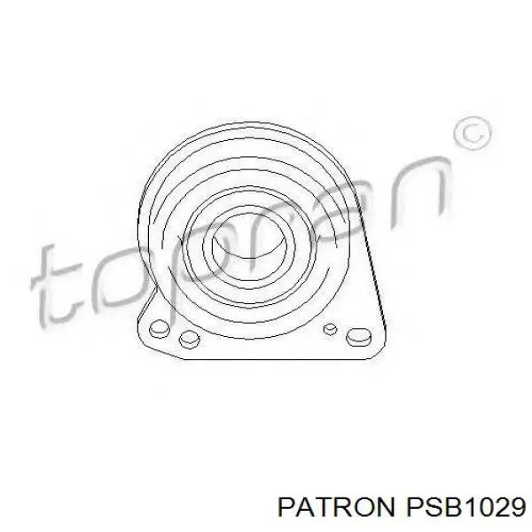 PSB1029 Patron rodamiento exterior del eje delantero