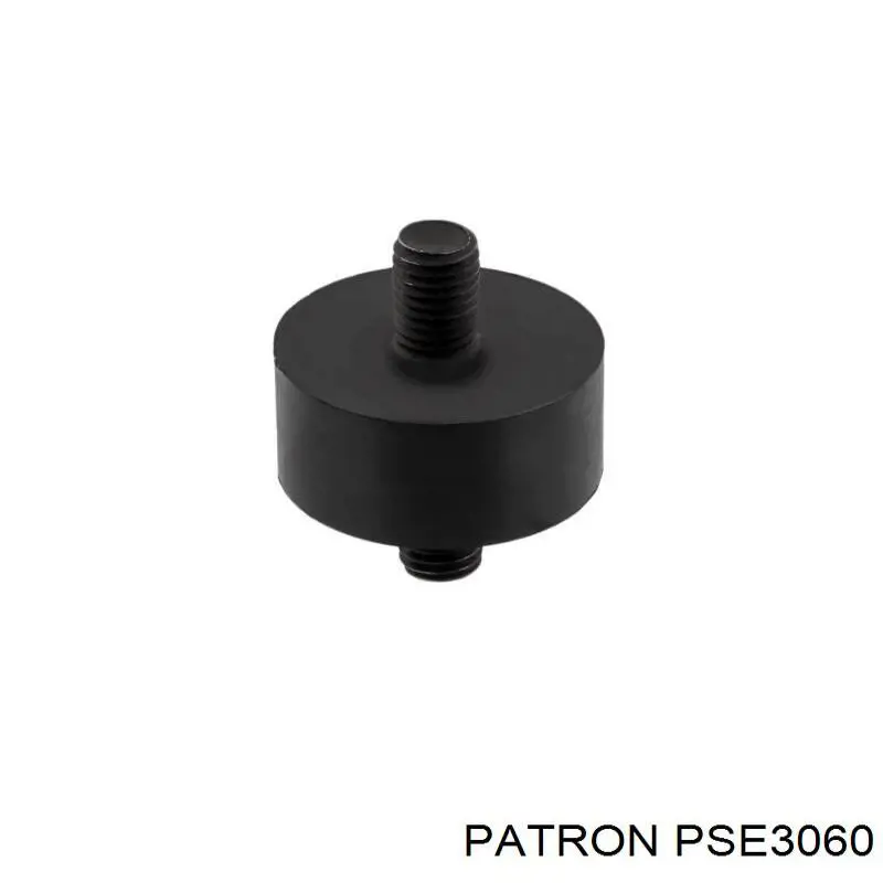 PSE3060 Patron soporte del radiador inferior