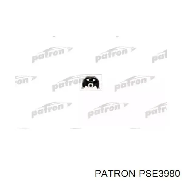 PSE3980 Patron soporte motor delantero