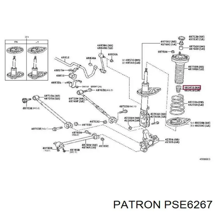 PSE6267 Patron caperuza protectora/fuelle, amortiguador delantero