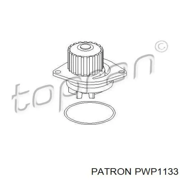 PWP1133 Patron bomba de agua