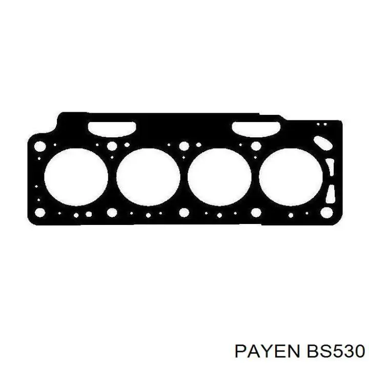 BS530 Payen