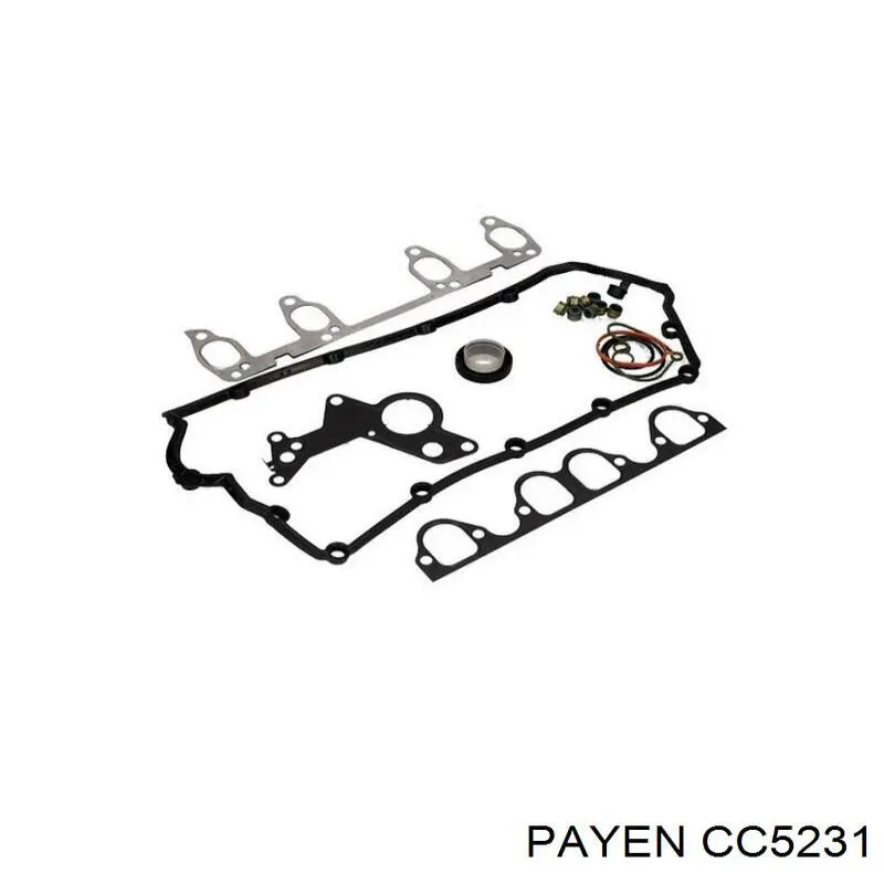 CC5231 Payen juego de juntas de motor, completo, superior