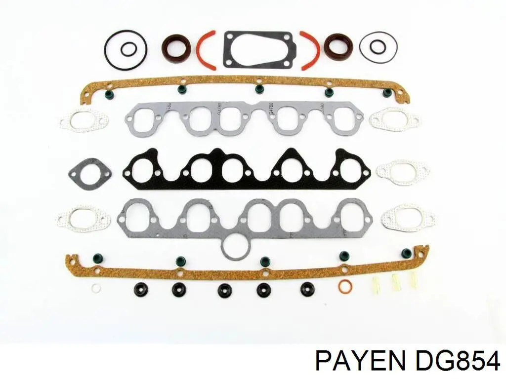DG854 Payen