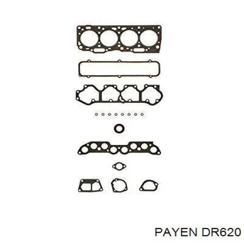 DR620 Payen juego de juntas de motor, completo, superior