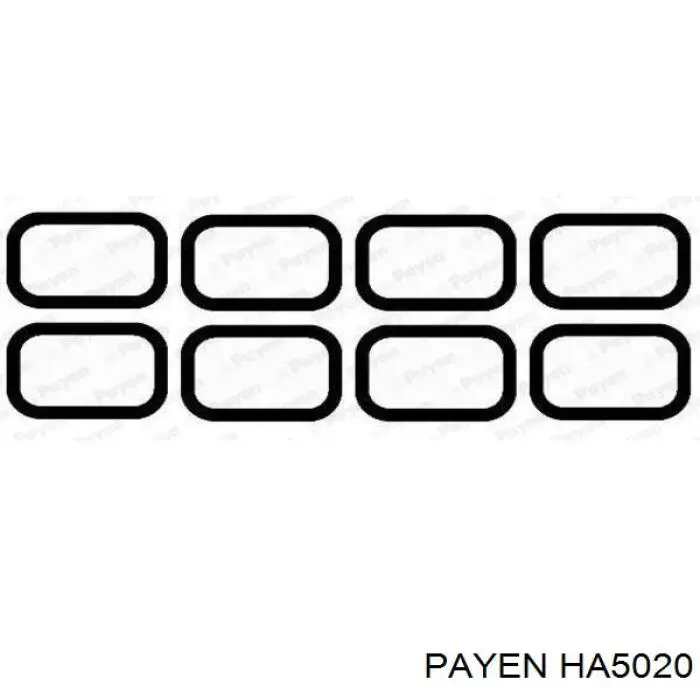 Junta, colector de admisión Jaguar X-type CF1