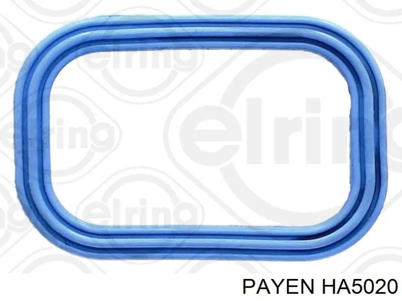 Junta, colector de admisión Jaguar X-type CF1