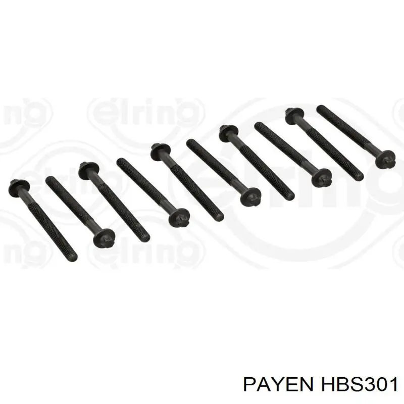 HBS301 Payen