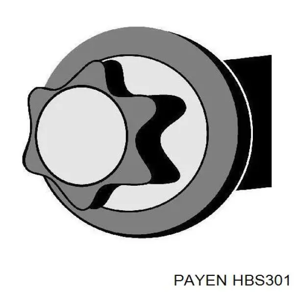 Comprar HBS301 Payen Tornillos de culata