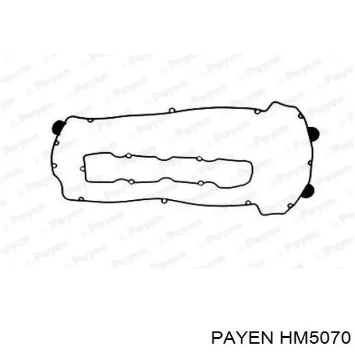 HM5070 Payen juego de juntas, tapa de culata de cilindro, anillo de junta