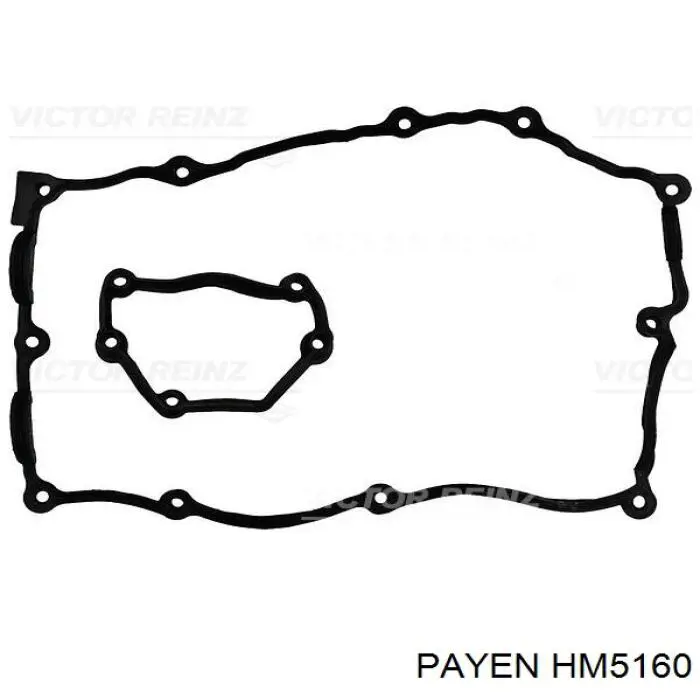 HM5160 Payen juego de juntas, tapa de culata de cilindro, anillo de junta