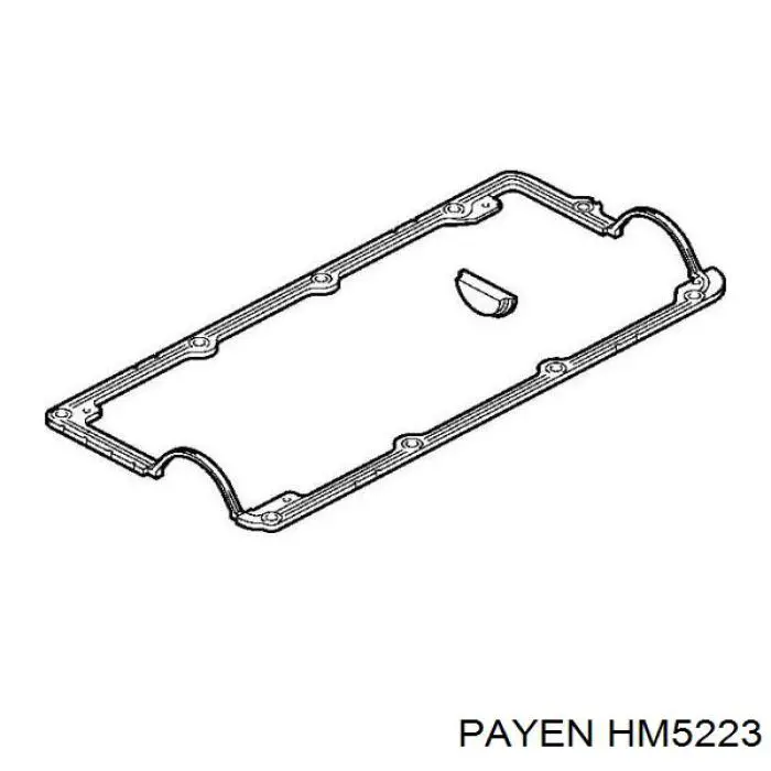 HM5223 Payen junta de la tapa de válvulas del motor