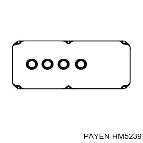 HM5239 Payen junta, tapa de culata de cilindro