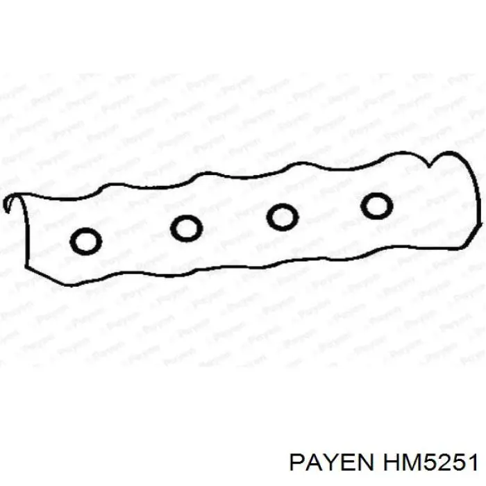 HM5251 Payen juego de juntas, tapa de culata de cilindro, anillo de junta