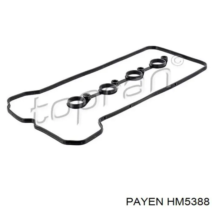 HM5388 Payen juego de juntas, tapa de culata de cilindro, anillo de junta