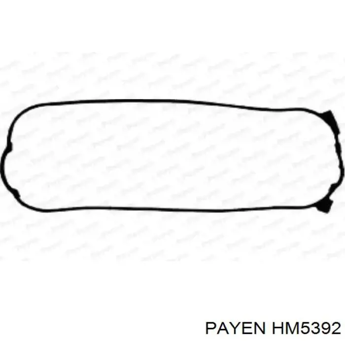 HM5392 Payen juego de juntas, tapa de culata de cilindro, anillo de junta