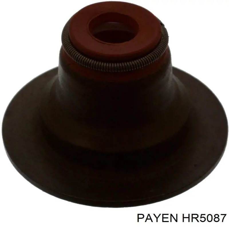 HR5087 Payen sello de aceite de valvula (rascador de aceite Entrada/Salida)