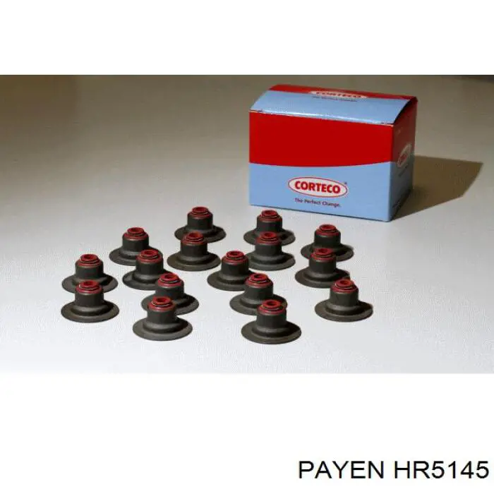 HR5145 Payen