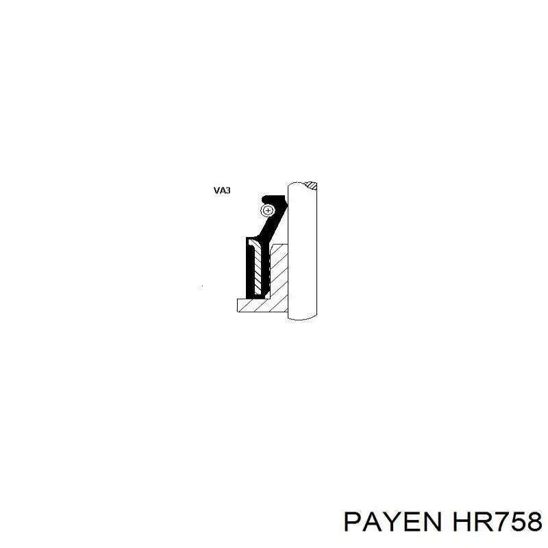 HR758 Payen sello de aceite de valvula (rascador de aceite Entrada/Salida)