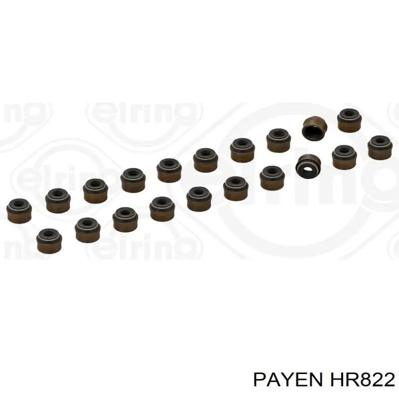 HR822 Payen sello de aceite de valvula (rascador de aceite Entrada/Salida Kit De Motor)