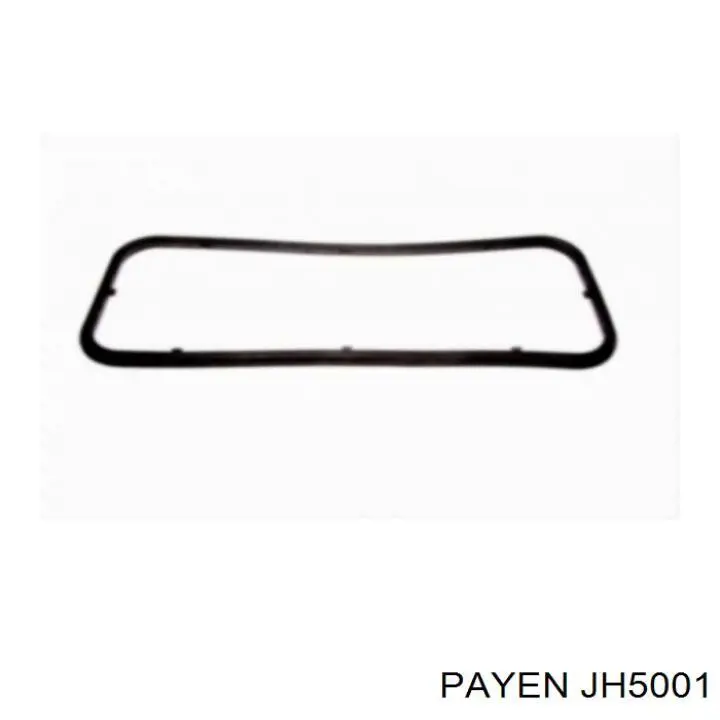 JH5001 Payen