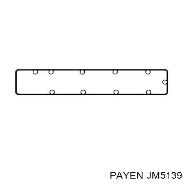 JM5139 Payen junta, tapa de culata de cilindro izquierda