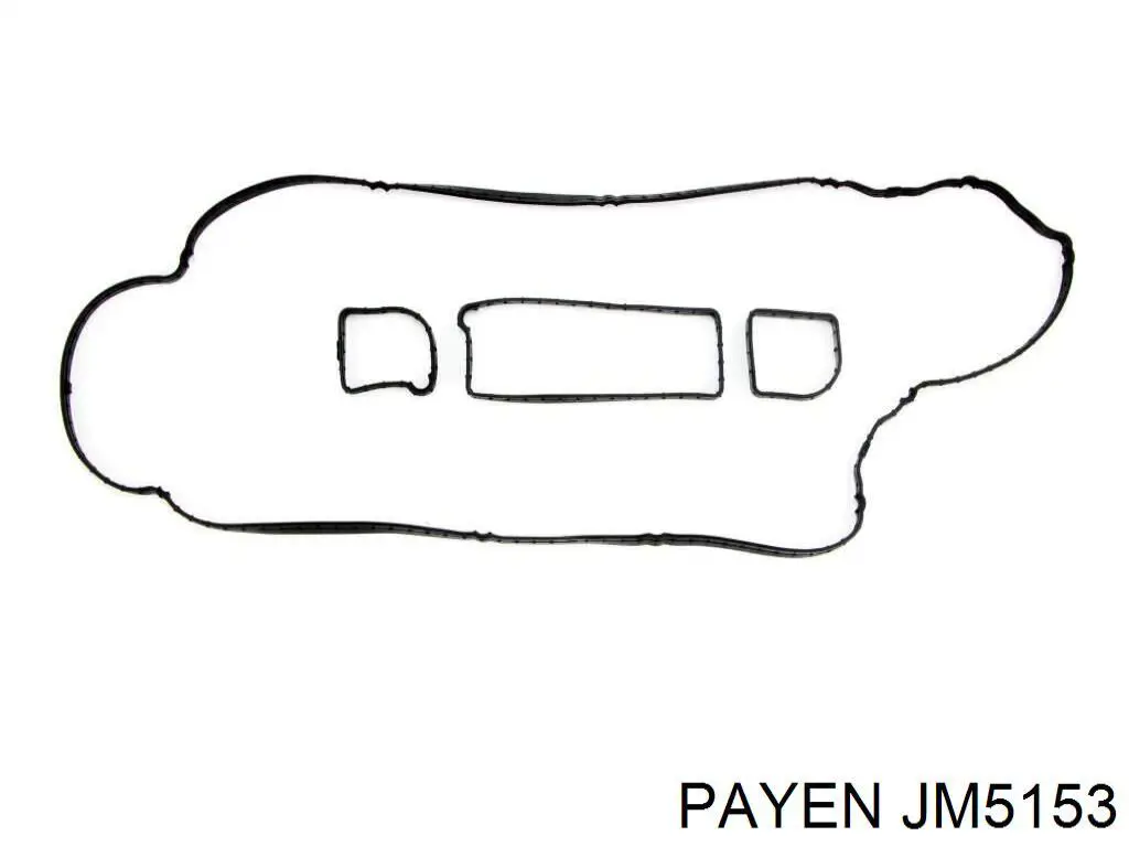 JM5153 Payen juego de juntas, tapa de culata de cilindro, anillo de junta