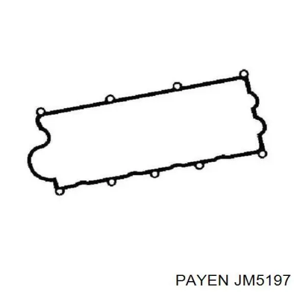 JM5197 Payen junta de la tapa de válvulas del motor