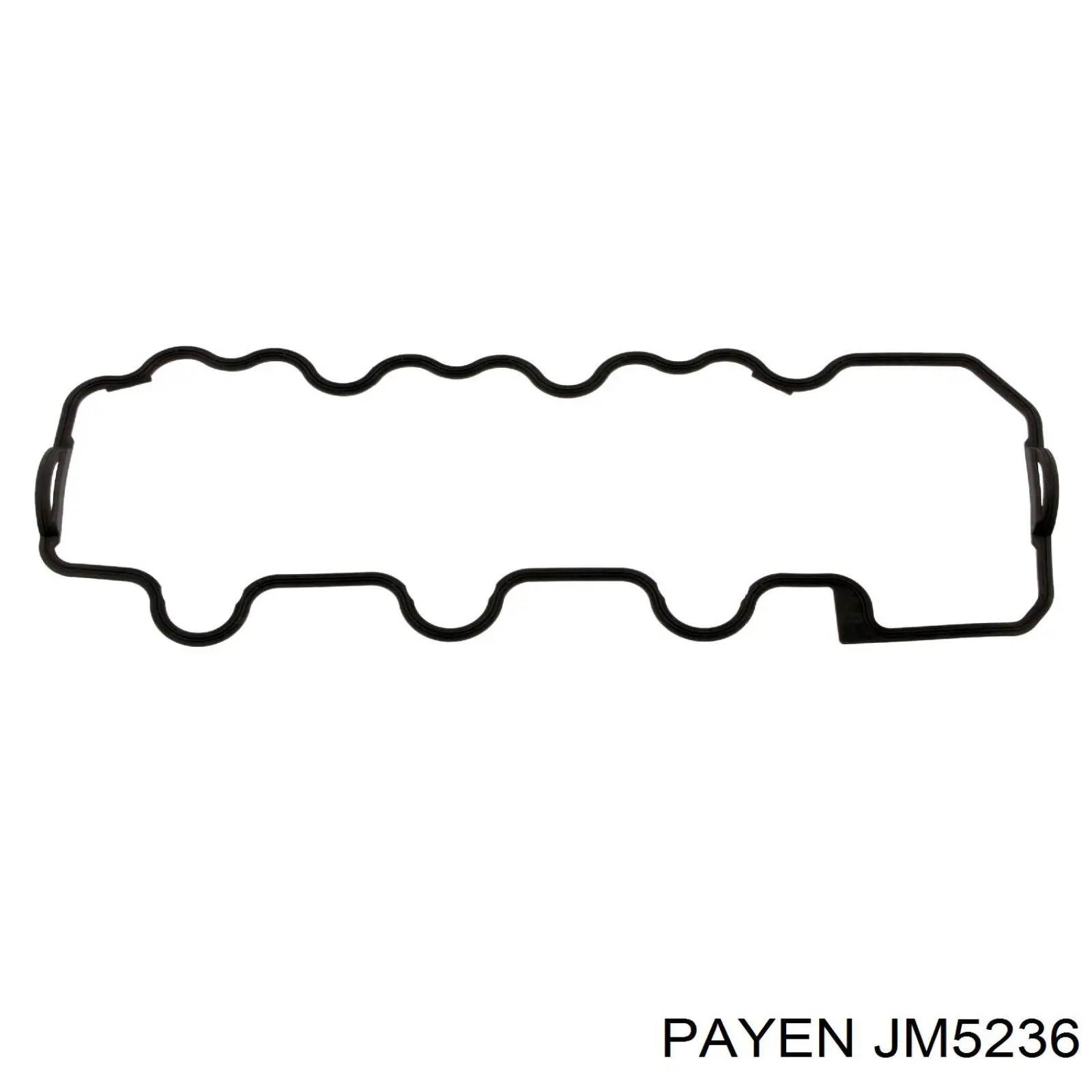 JM5236 Payen junta, tapa de culata de cilindro izquierda