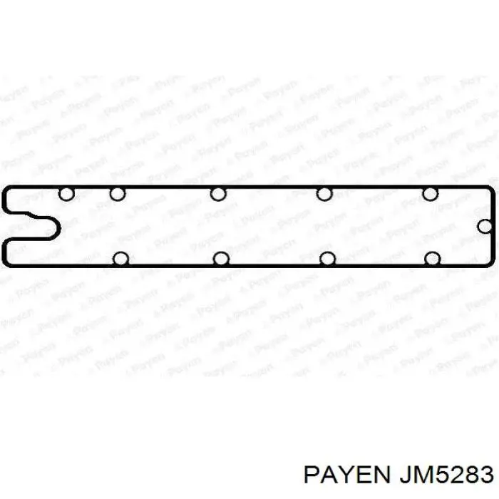 JM5283 Payen junta, tapa de culata de cilindro derecha