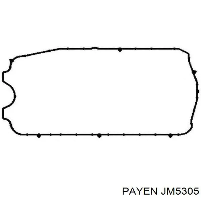 Junta tapa válvula Payen JM5305 precio, desde 5,96 EUR