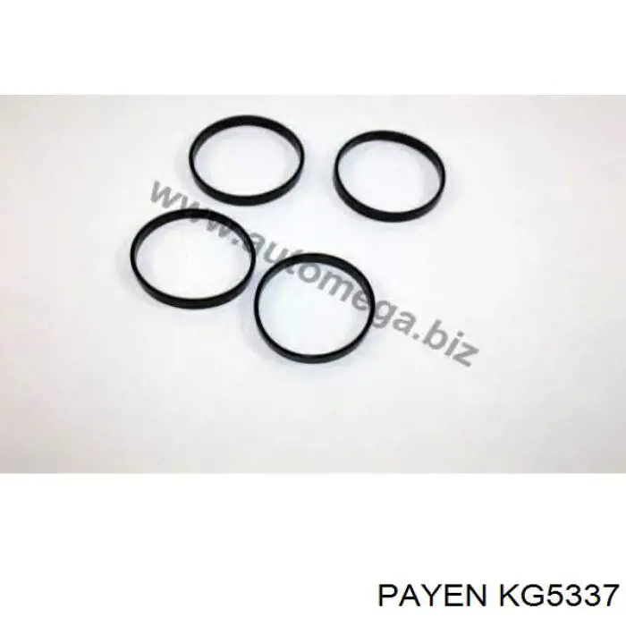 KG5337 Payen