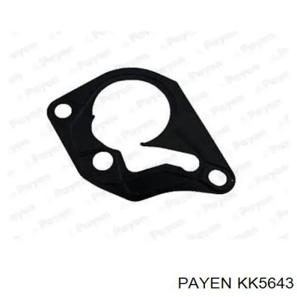 Junta de la bomba de vacío Payen KK5643 precio, desde 4,09 EUR