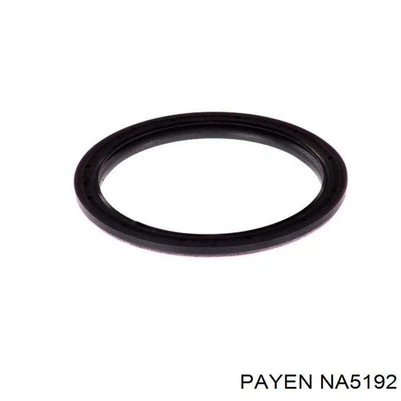 Retén del cigüeñal Payen NA5192 precio, desde 19,26 EUR