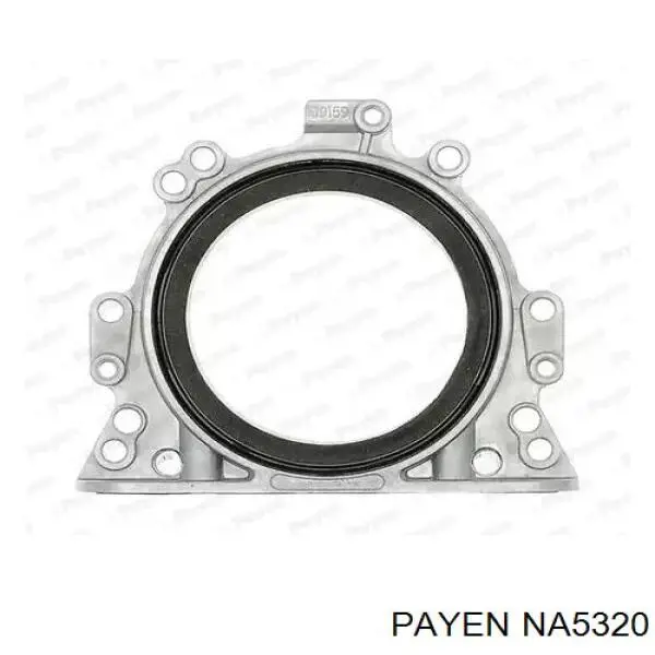 NA5320 Payen anillo retén, cigüeñal frontal