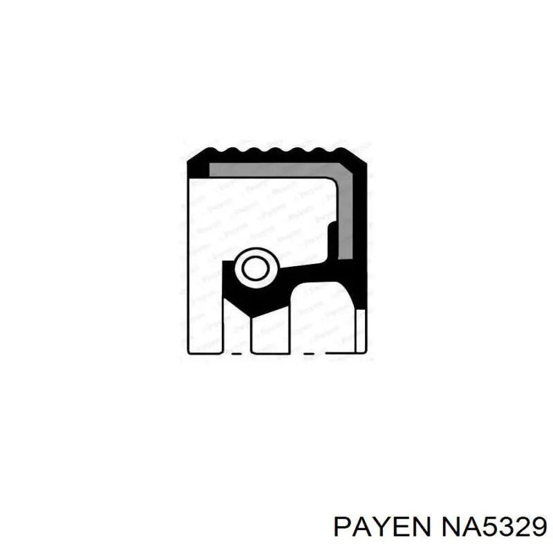 NA5329 Payen anillo retén, cigüeñal frontal