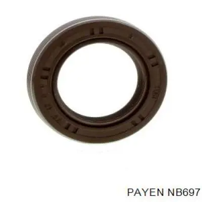 NB697 Payen