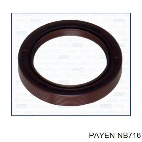NB716 Payen Retén del cigüeñal frontal