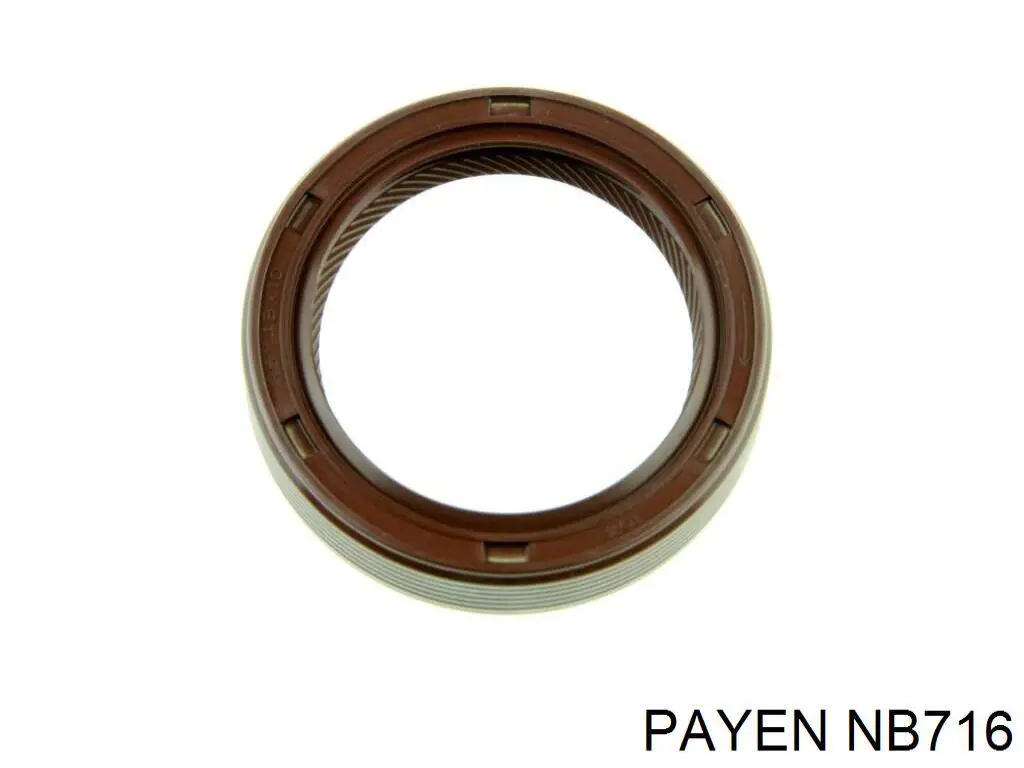 NB716 Payen anillo retén, cigüeñal frontal