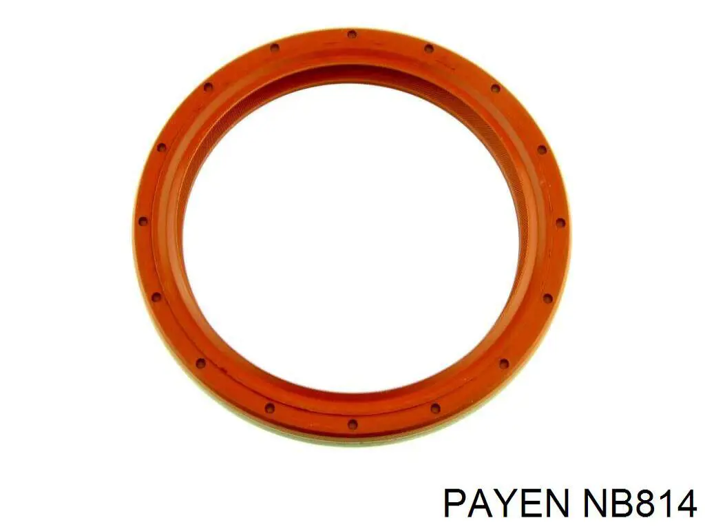 NB814 Payen anillo retén, cigüeñal