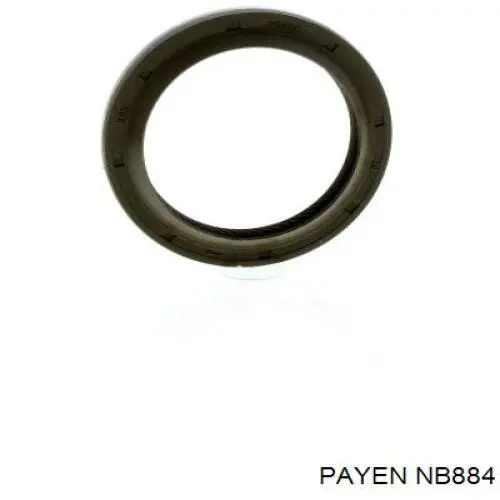 NB884 Payen anillo retén, cigüeñal frontal
