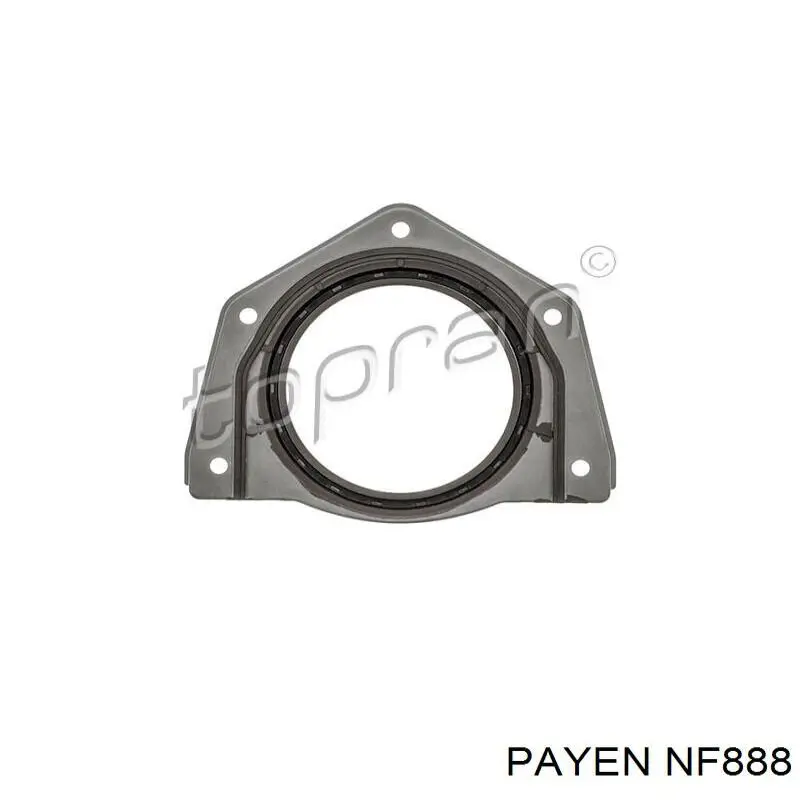 Retén del cigüeñal Payen NF888 precio, desde 28,44 EUR