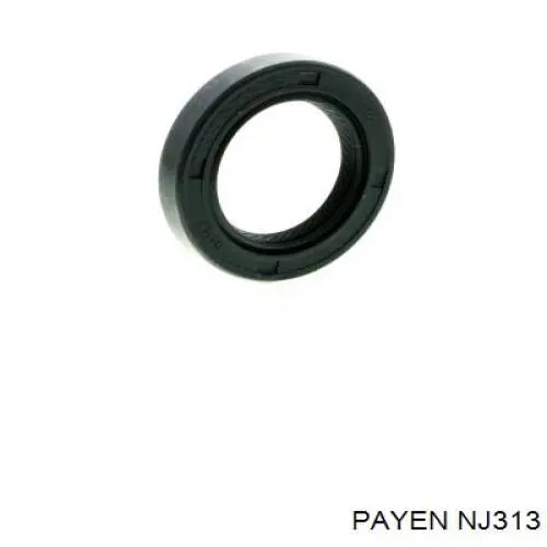 Retén del árbol de levas Payen NJ313 precio, desde 3,14 EUR