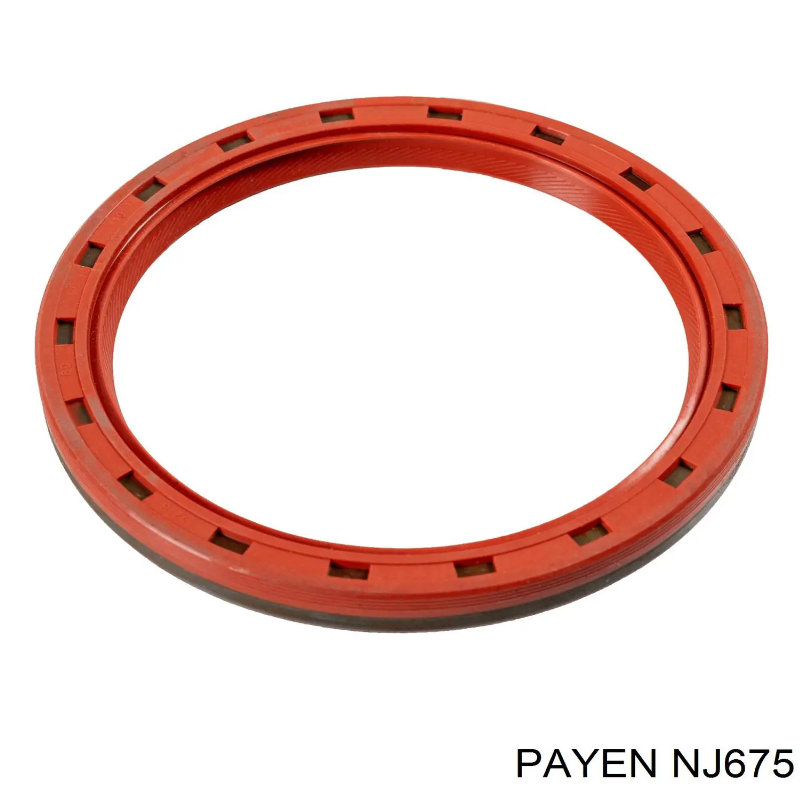 Comprar NJ675 Payen Retén de cigüeñal