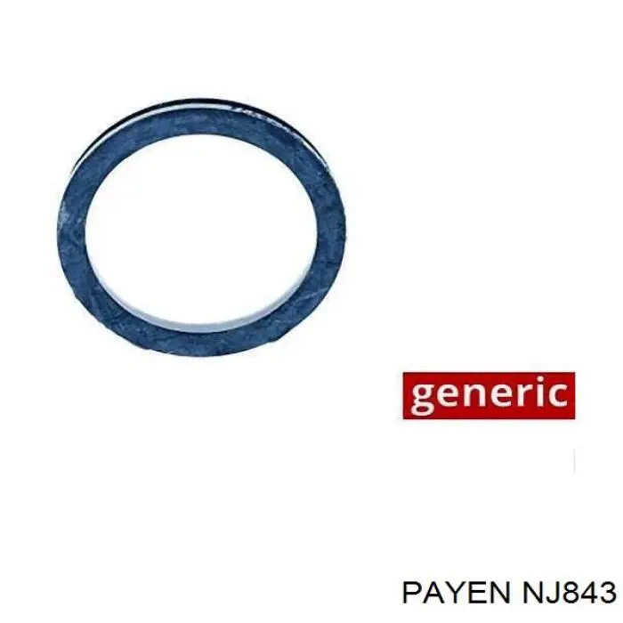 NJ843 Payen 