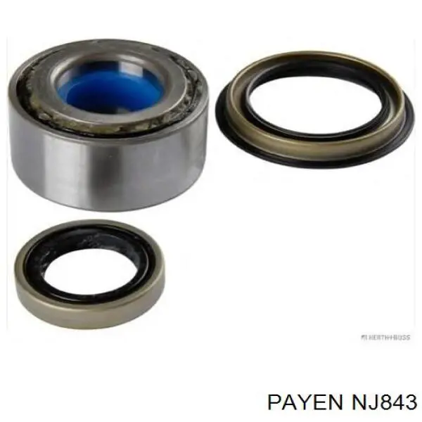 Comprar NJ843 Payen 
