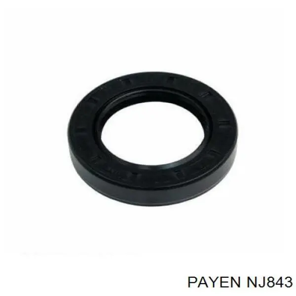 NJ843 Payen